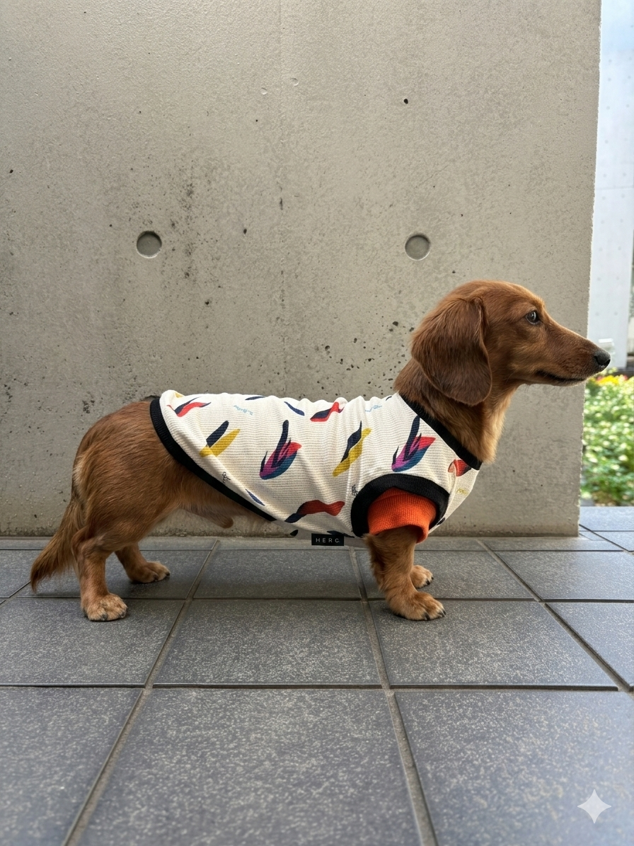 【NEW】サマープリントDOG-T